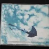 劉德華 Hong KOng Pop Song CD Andy Lau ~